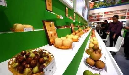 祁陽首屆油菜花節暨農副產品交易會邀您共賞春光，樂享田園盛宴
