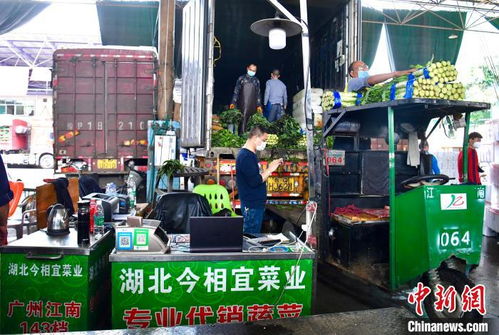 廣州開啟湖北農副產品采購熱潮，助力農業復蘇