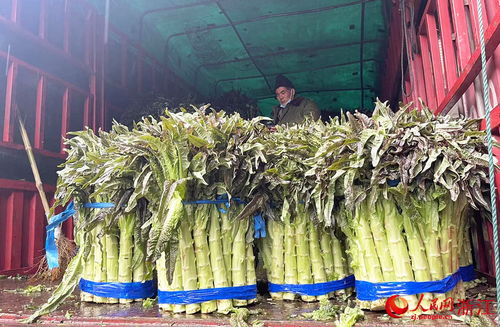 新春走基層 24小時不打烊，守護萬家煙火氣——走訪華東最大農副產品集散地