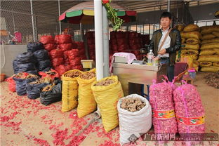 南寧市仁義農副產品批發市場盛大開業 助力區域“菜籃子”工程建設